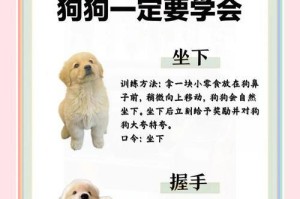 小狗的性成熟需要多长时间？（了解小狗性成熟的时间表和关键因素）